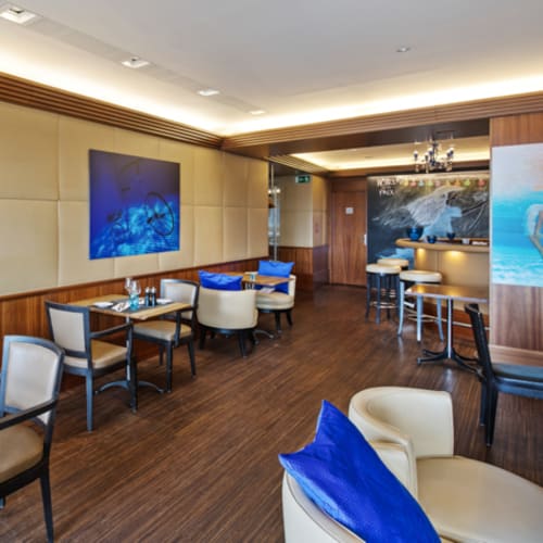 La Paix Blue , Lausanne