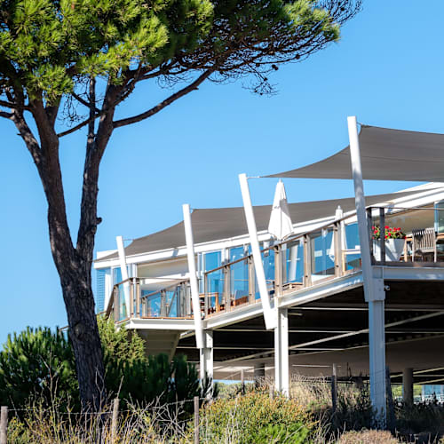 Verbasco, Cascais