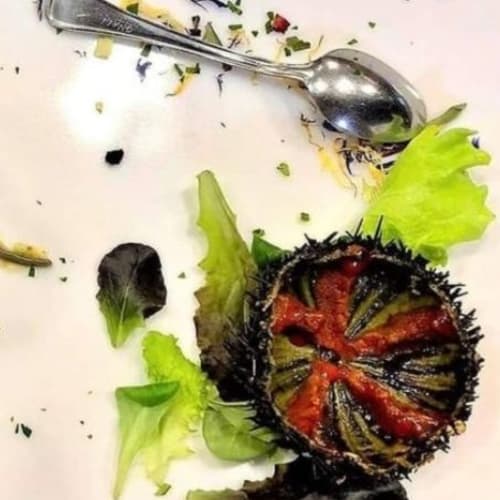 Vac è Press, Magenta