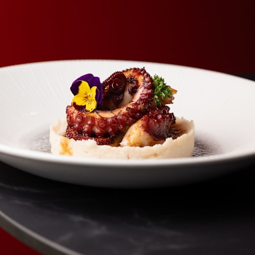 Volare Bar & Restaurant , Cerro Maggiore