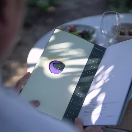 La Chassagnette, Arles