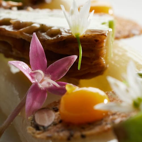 Guillaume Scheer "Les Plaisirs Gourmands", Strasbourg