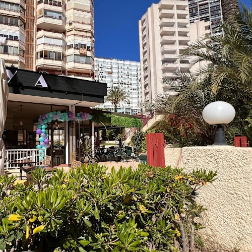 Oxya, Benidorm