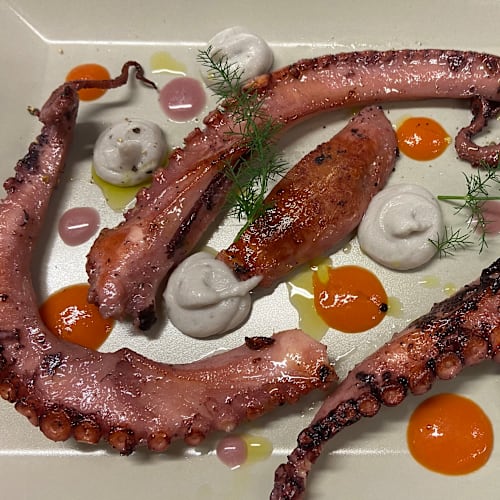 Aroma Ginori 51, Cecina