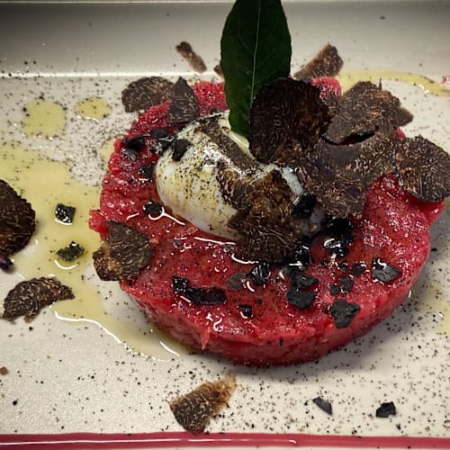 Aroma Ginori 51, Cecina
