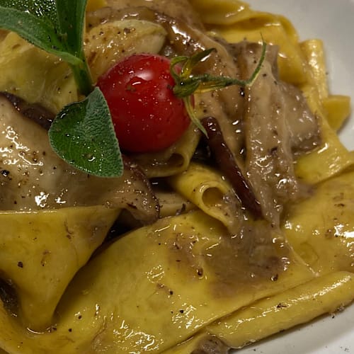 Aroma Ginori 51, Cecina