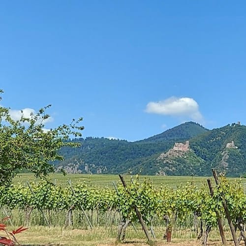 O'Berge du Parc, Hunawihr