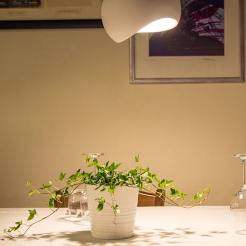 Bar Osteria Morin, Pontecchio Polesine