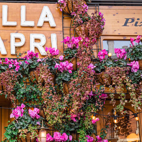 Villa Capri, Madrid