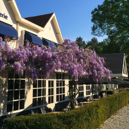 De Soester Duinen, Soest
