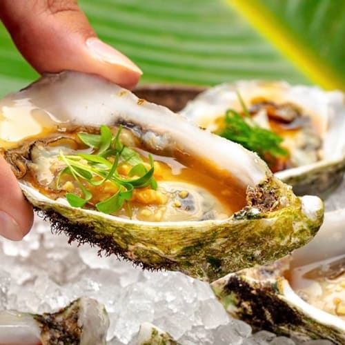 MöTAO Lisboa, Lisboa