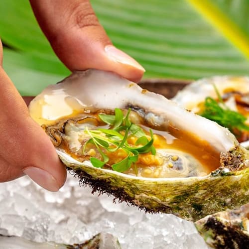 MöTAO Lisboa, Lisboa