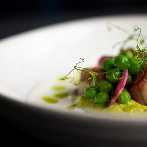 Silvi Gastrobar, Den Haag