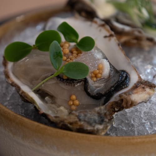 Silvi Gastrobar, Den Haag
