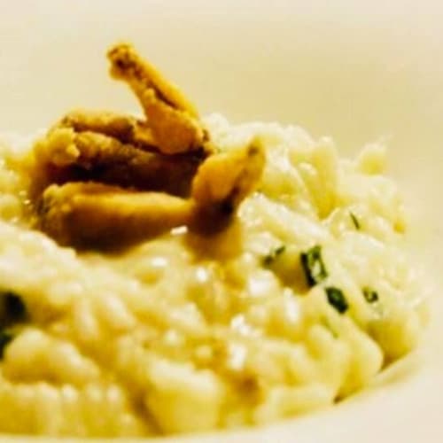Antica Trattoria dell'Angelo, Piacenza