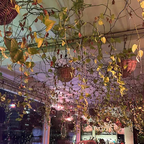 The Dome Milano | Rooftop, Milano