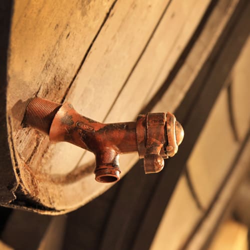 Bodega Brugal - Tast de Vins, Barcelona
