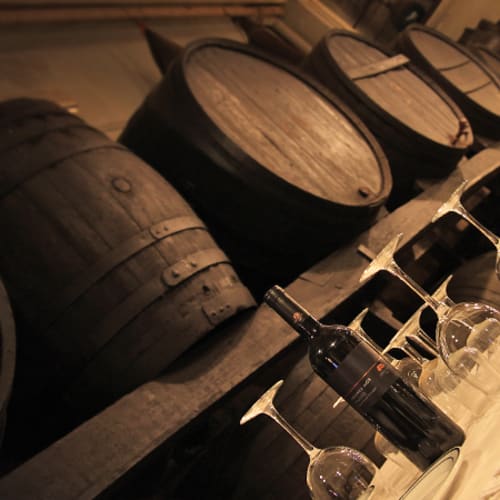 Bodega Brugal - Tast de Vins, Barcelona