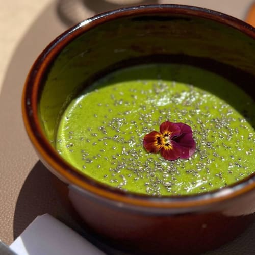 Brasserie des Consuls, Toulouse