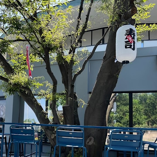 Sushi Daily - la Rotonda di Saronno, Saronno