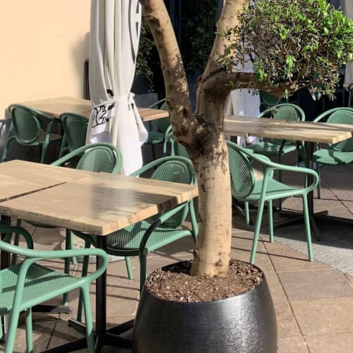 Grande caffè e Bistrot , Lugano