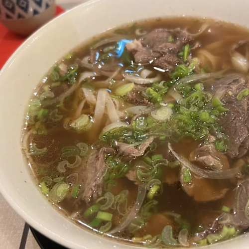 Fratelli Vietnam, Bologna