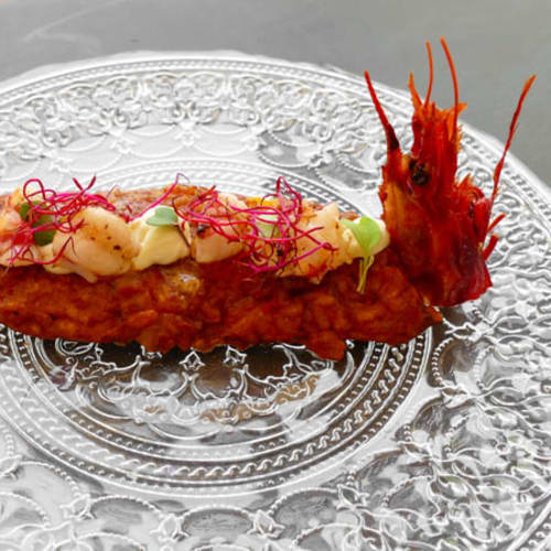 Mater Terrae – Hotel Terra Dominicata (Adults Only) , La Morera De Montsant