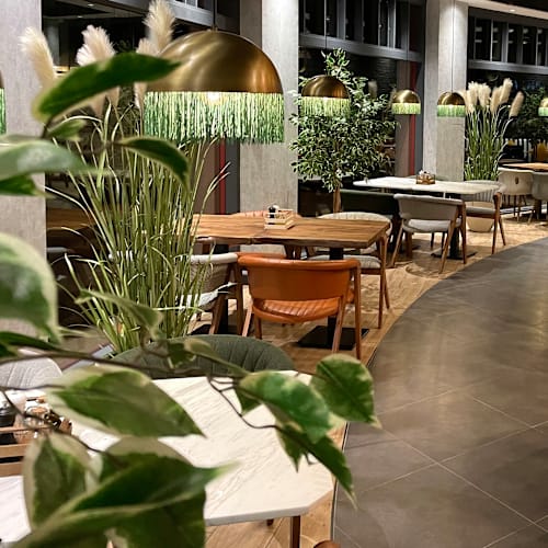 Harem Restaurant Café, Den Haag