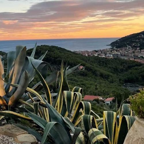 Terrazza Praié, Colla Micheri