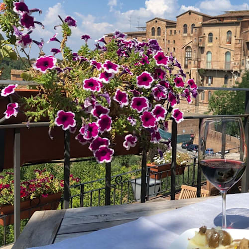 Vivace, Siena
