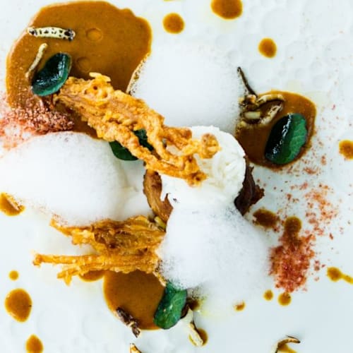 Amused Food & Wine, Hardenberg