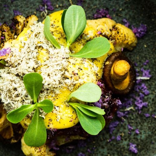 Amused Food & Wine, Hardenberg