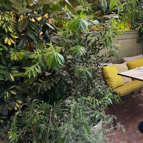 Le Patio du Pulitzer, Paris