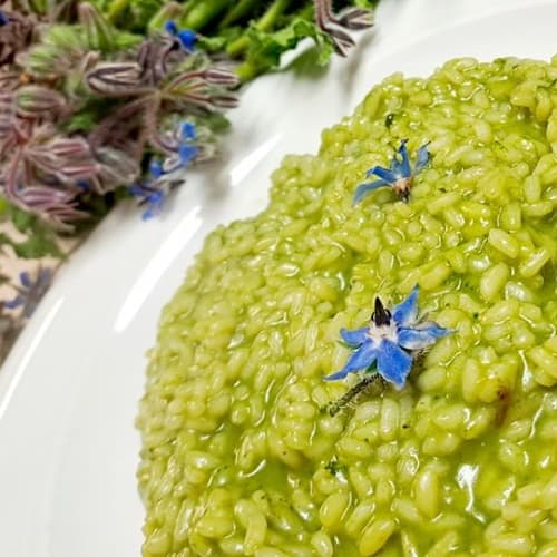 Agriturismo Ca' Bionda, Civitella di Romagna