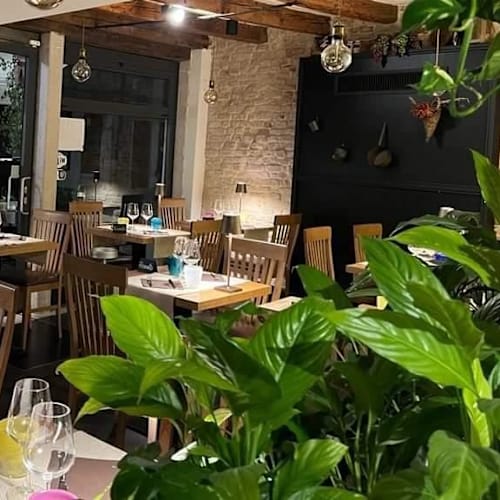 Bacarandino, Venezia