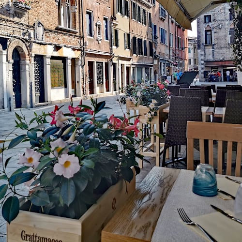 Bacarandino, Venezia