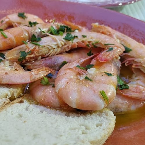 Lucindas Fado, Lisboa