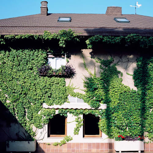 L'escaleta , Cocentaina