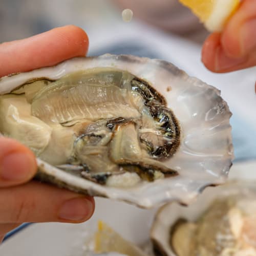 Mushlya - Oysters & Bubbles, Lisboa