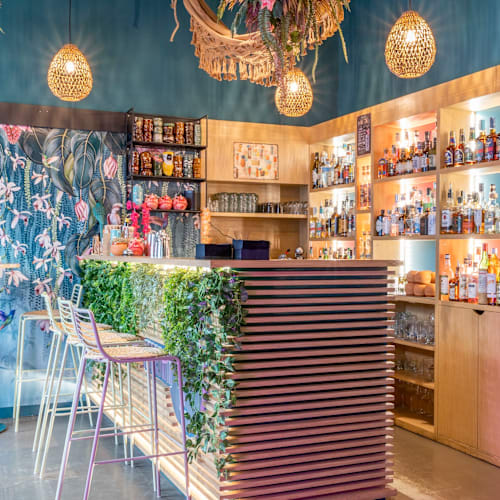Mana Tiki, Torino
