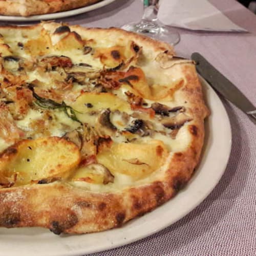 La Gallina Bianca, Roma