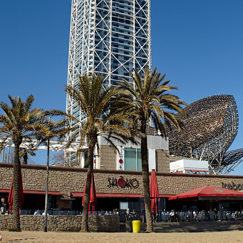 Shôko Barcelona, Barcelona