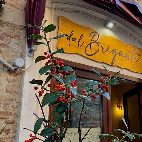 Dal Brigante, Fabriano