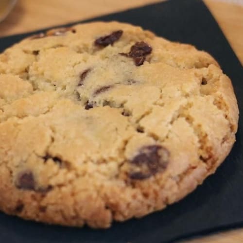 Lazy Bear, Bruxelles