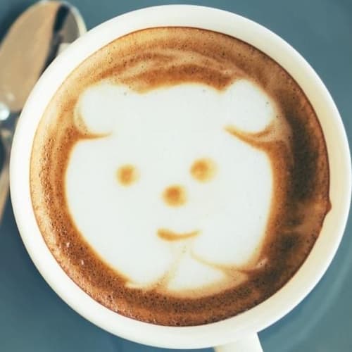 Lazy Bear, Bruxelles