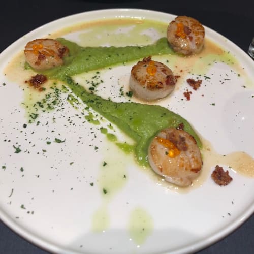 Kleurstoff aan Zee, Amsterdam