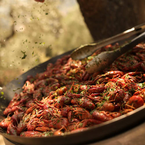 SHACK AND CO, Saint-Jeannet