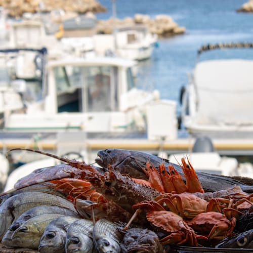 Le Grand Bar des Goudes, Marseille