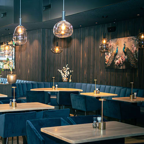 Kyzo, Rotterdam
