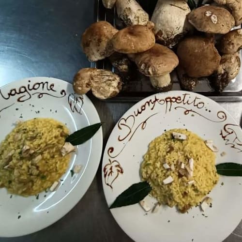 La Magione, Olivola